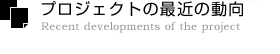 プロジェクトの最近の動向